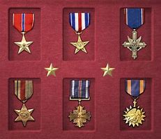 Image result for Vindman Medals