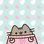 Image result for Cute Kawaii Pusheen Cat Wallpaper