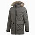 Image result for Adidas Xploric Parka