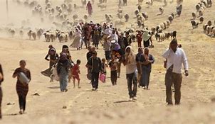 Image result for Displaced People