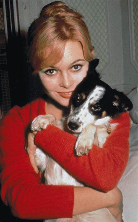Brigitte Bardot - L'icona inossidabile di ogni animalista