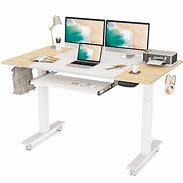 Image result for Fezibo Electric Standing Desk