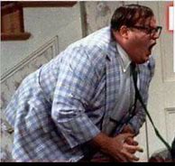 Image result for Chris Farley Policy Change Meme