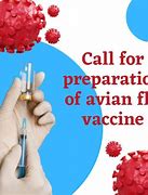 Image result for Avian Flu Vaccine