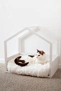Image result for Cat Accessories for Home