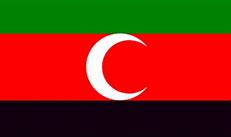 Image result for Darfur Sudan Flag Silhouette Black