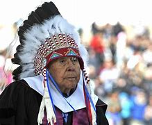Image result for Blackfoot Confederacy Earl Old Person