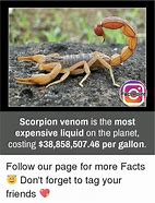 Image result for Scorpion Meme