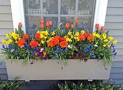 Image result for Rose Planter Boxes