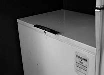Image result for Commercial Deep Freezer for Factory Person