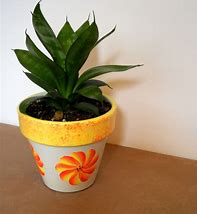 Image result for Plant Risers Potted Plants