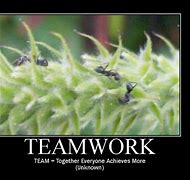Image result for Motivational Quotes for Employees Teamwork