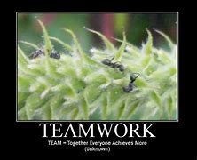 Image result for Best Teamwork Quotes