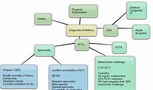 Image result for Asthma Diagnosis