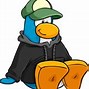 Image result for Penguin Hoodie
