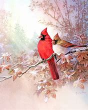 Image result for Cardinal Art
