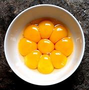 Image result for egg yolk