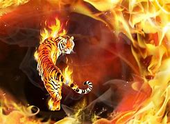 Image result for Dark Fire Tiger