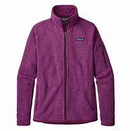 Image result for Patagonia Purple Jacket