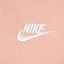Image result for Nike Women's Pink Hoodie