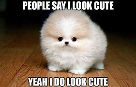 Image result for You're so Cute Meme