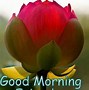 Image result for Good Morning for a Friend