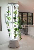 Image result for Indoor Vegetable Garden Design
