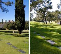 Image result for Forest Lawn Memorial Park Hollywood Hills