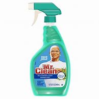 Image result for Mr. Clean Cleaner