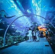 Image result for Dubai Aquarium and Underwater