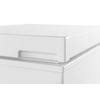 Image result for In a Frigidaire Chest Freezer Garage Ready
