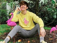 Image result for Flamingo The YouTuber No Background