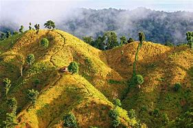 Image result for Bangladesh Beautiful Places
