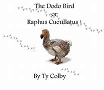 Image result for Dodo bird ambitious plan