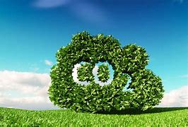 Image result for Carbon Dioxide Plants