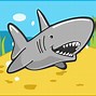 Image result for Protect Sharks