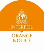 Image result for Interpol Most Wantes