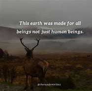 Image result for Save the Animals Quotes