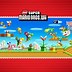 Image result for Super Mario Bros. Wii Game