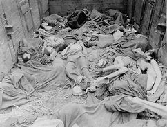 Image result for Dead SS Dachau