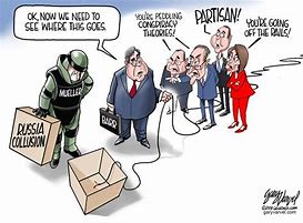 Image result for TownHall Cartoons