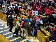 Image result for South African Parliament Fight