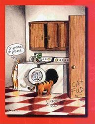 Image result for Far Side Cat Cartoons