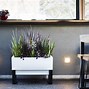 Image result for White Self Watering Planters