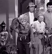 Image result for Clampetts Beverly Hillbillies