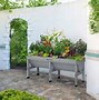 Image result for Elevated Planters
