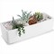 Image result for Succulent Window Box