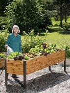 Image result for Raised Water Planters