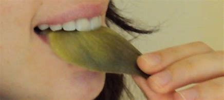 Image result for artichoke eating