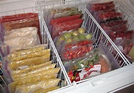 Image result for Chest Freezer Shelves